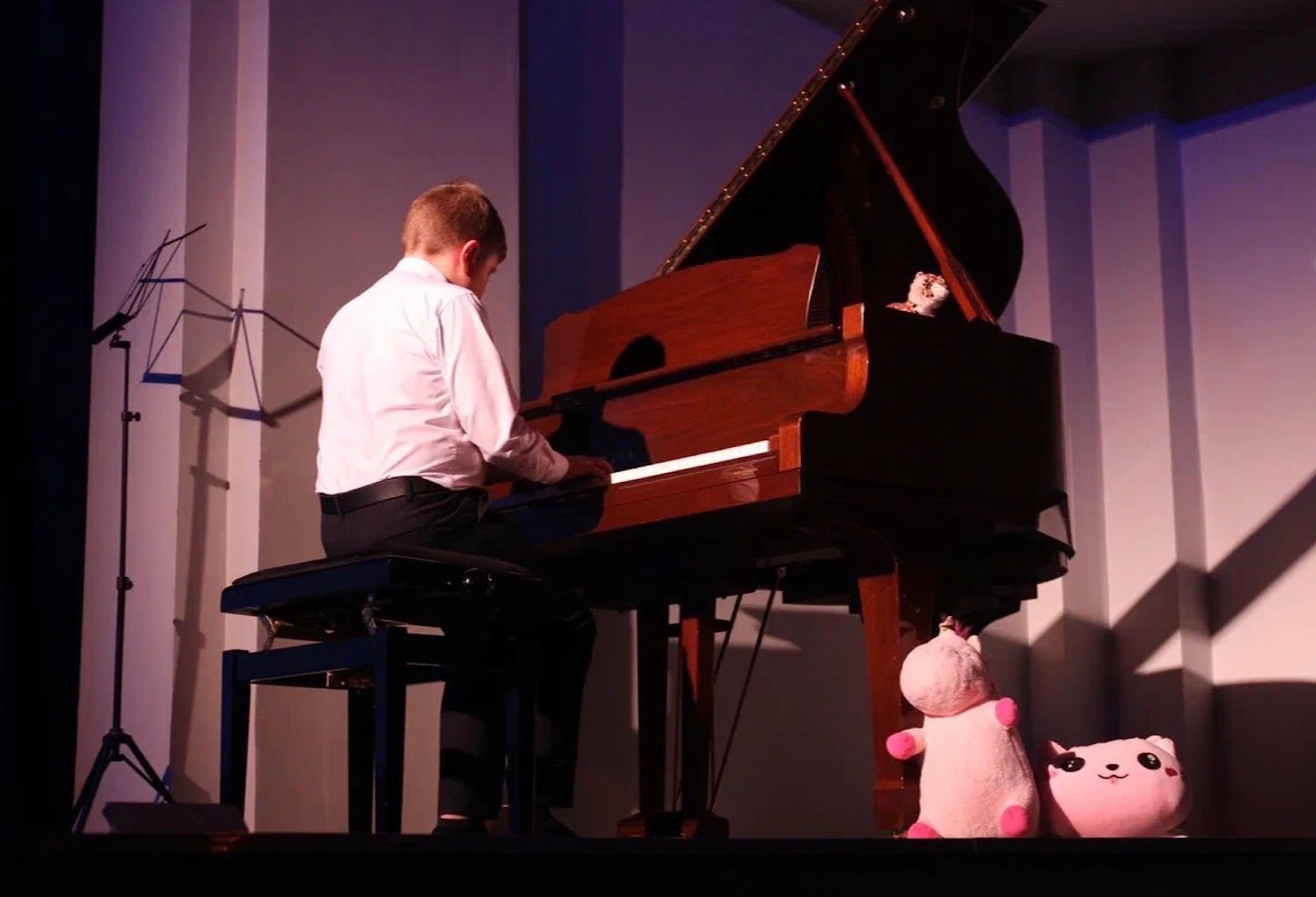 «Рождественская ночь в магазине игрушек»