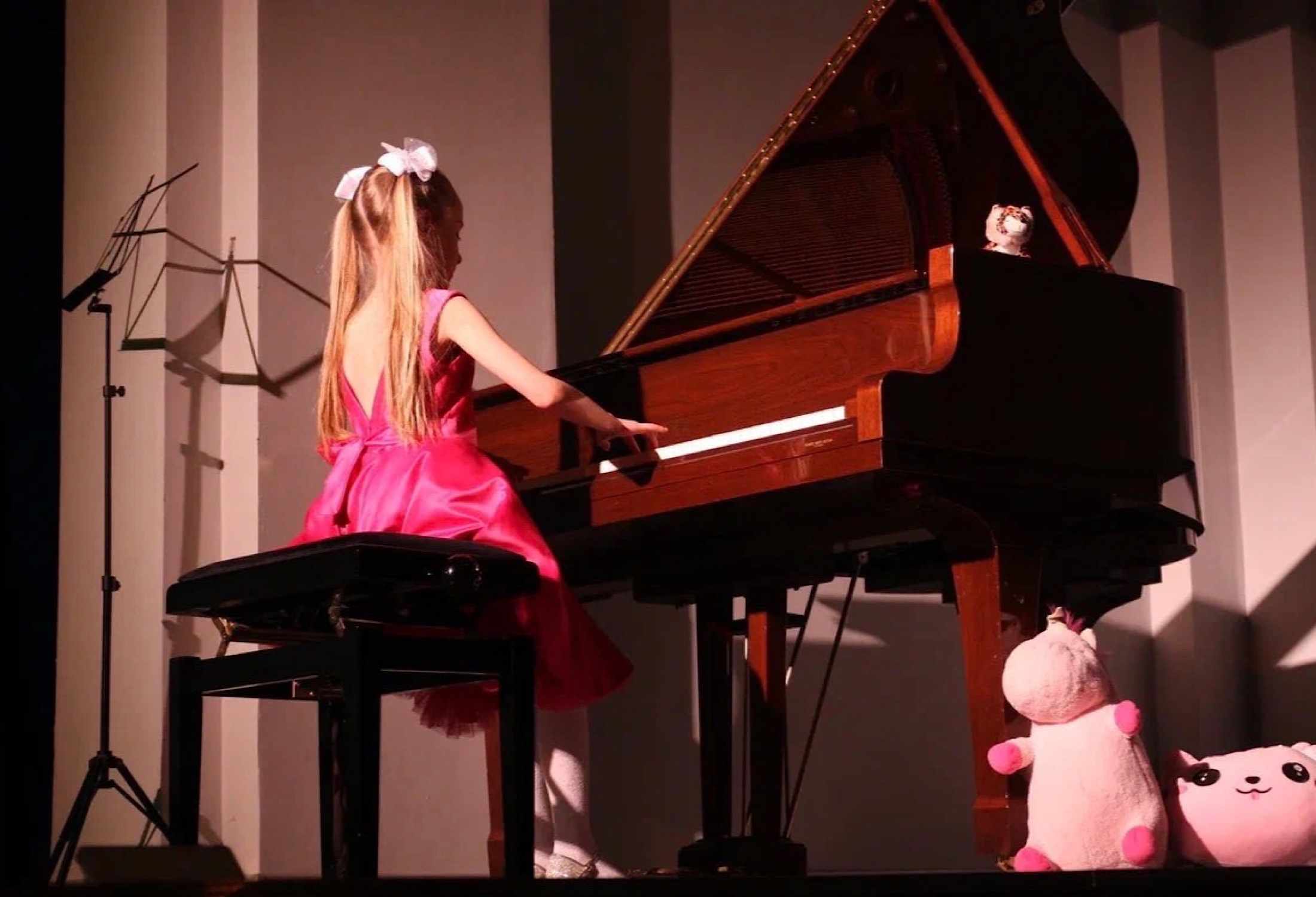 «Рождественская ночь в магазине игрушек»